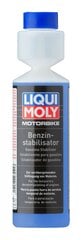 LIQUI MOLY Moto kuro stabilizatorius 250ml. (3041) kaina ir informacija | Moto alyvos | pigu.lt