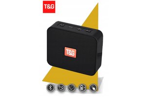 T&G TG-166, juodas kaina ir informacija | Garso kolonėlės | pigu.lt
