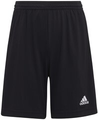 Шорты Adidas Ent22 Shorts Y Black H57502 H57502/176 цена и информация | Шорты для мальчиков | pigu.lt