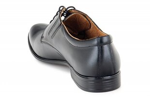 Мужские ботинки WALL STREET 144481045751 цена и информация | Мужские ботинки | pigu.lt