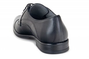 Мужские ботинки FERMANI 145136045751 цена и информация | Мужские ботинки | pigu.lt