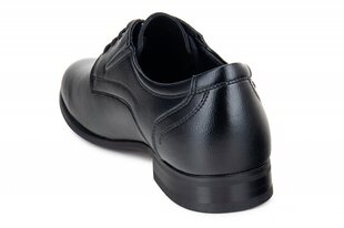 Мужские ботинки BADEN 149911045751 цена и информация | Мужские ботинки | pigu.lt