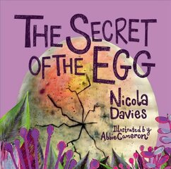 Secret of the Egg kaina ir informacija | Knygos mažiesiems | pigu.lt