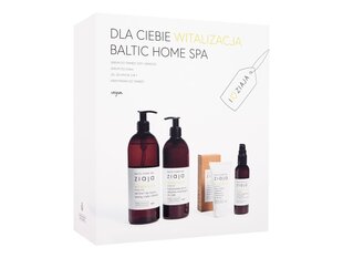 Kūno priežiūros rinkinys Ziaja Baltic Home Spa Vitality, 4 vnt. kaina ir informacija | Dušo želė, aliejai | pigu.lt