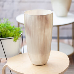 Vaza, 40 cm kaina ir informacija | Vazos | pigu.lt
