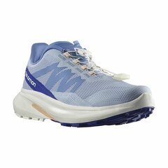 Беговые кроссовки для взрослых Salomon Hypulse Gore-Tex Светло Синий Женщина цена и информация | Спортивная обувь, кроссовки для женщин | pigu.lt