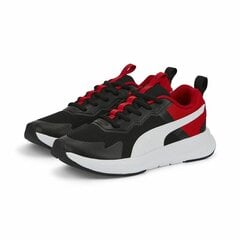 Sportiniai batai moterims Puma Evolve Run Mesh цена и информация | Спортивная обувь, кроссовки для женщин | pigu.lt