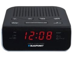 Blaupunkt CR5WH цена и информация | BLAUPUNKT Аудио- и видеоаппаратура | pigu.lt