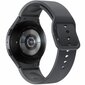 Samsung Galaxy Watch5 SM-R910 Graphite kaina ir informacija | Išmanieji laikrodžiai (smartwatch) | pigu.lt