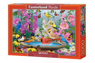 Dėlionė Castorland Rhytm Of Nature, 2000 dalių kaina ir informacija | Dėlionės (puzzle) | pigu.lt