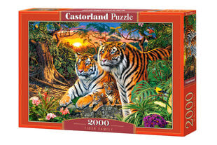 Dėlionė Castorland Tiger Family, 2000 dalių kaina ir informacija | Dėlionės (puzzle) | pigu.lt