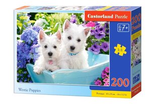Dėlionė Castorland Westie Puppies, 200 dalių kaina ir informacija | Dėlionės (puzzle) | pigu.lt