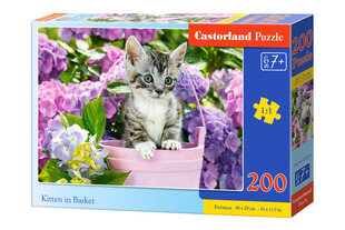 Dėlionė Castorland Kitten in Basket, 200 dalių kaina ir informacija | Dėlionės (puzzle) | pigu.lt