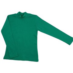 Palaidinė ilgomis rankovėmis su apykakle, žalia kaina ir informacija | Marškinėliai berniukams | pigu.lt