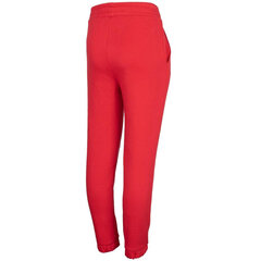 Спортивные брюки для девочки 4F HJZ22 JSPDD002 62S, красные цена и информация | Брюки для девочки | pigu.lt