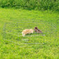 Lionto apsauginės tvorelė mažiems gyvūnams, aukštis 38 cm цена и информация | Dresūros priemonės šunims | pigu.lt