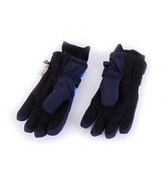 Зимние перчатки TuTu.3-006338.N.Blue. цена и информация | Зимняя одежда для детей | pigu.lt