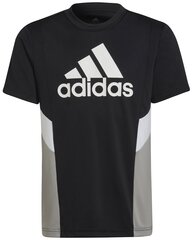 Футболка Adidas B Cb T D2M Black Grey HF1835 HF1835/176 цена и информация | Рубашки для мальчиков | pigu.lt