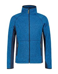 Icepeak vyriškas džemperis Bode 57731-2*380, mėlynas kaina ir informacija | Džemperiai vyrams | pigu.lt