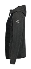 Icepeak мужская куртка Aikera  57860-2*817, тёмно-серый 6438535121145 цена и информация | Мужские куртки | pigu.lt