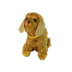 Interaktyvus šuo Cocker Spaniel, rudas цена и информация | Игрушки для девочек | pigu.lt