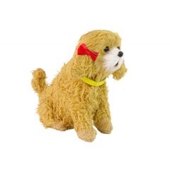 Interaktyvus šuo Breed Poodle, rudas kaina ir informacija | Žaislai mergaitėms | pigu.lt
