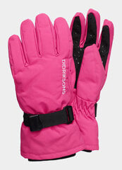 Перчатки Didriksons Biggles Gloves розовые цена и информация | Зимняя одежда для детей | pigu.lt