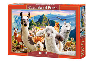 Пазл Castorland Llamas Selfie, 1000 деталей цена и информация | Пазлы | pigu.lt