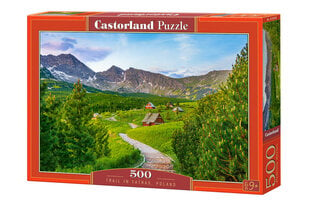 Dėlionė Castorland Trail in Tatras, 500 dalių kaina ir informacija | Dėlionės (puzzle) | pigu.lt