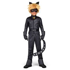 Kostiumas vaikams - 'Cat Noir', 12-14 metų цена и информация | Карнавальные костюмы | pigu.lt