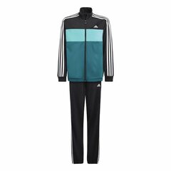 Детский спортивных костюм Adidas Essentials Синий цена и информация | Комплекты для мальчиков | pigu.lt