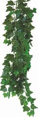 Terariumo augalas Happet Hedera Helix, 50cm kaina ir informacija | Akvariumo augalai, dekoracijos | pigu.lt