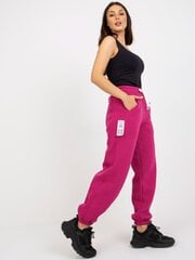 теплые штаны для бега с taschen цвета фуксии цена и информация | Спортивная одежда для женщин | pigu.lt