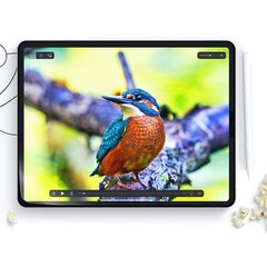 ЗАЩИТНАЯ ПЛЕНКА HOFI PAPER PRO+ 2-PACK IPAD AIR 10.9 4 | 5 | 2020-2022 | PRO 11 2 | 3 | 4 | 2020-2022 МАТОВАЯ ПРОЗРАЧНАЯ цена и информация | Защитные пленки для телефонов | pigu.lt