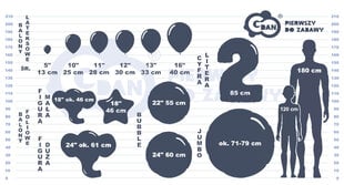 Balionų rinkinys BOO, 33 cm, 5 vnt. kaina ir informacija | Balionai | pigu.lt