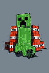 Jerry Fabrics детский плед Minecraft TNT 100x150 см цена и информация | Покрывала, пледы | pigu.lt