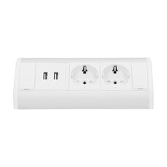 Розетка мебельная 2x250V, USB OR-GM-9003/W-G(GS) schuko цена и информация | Выключатели, розетки | pigu.lt