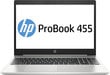 HP 455 G7 Ryzen 5 4500U 8GB 1TB SSD Windows 10 Professional цена и информация | Nešiojami kompiuteriai | pigu.lt