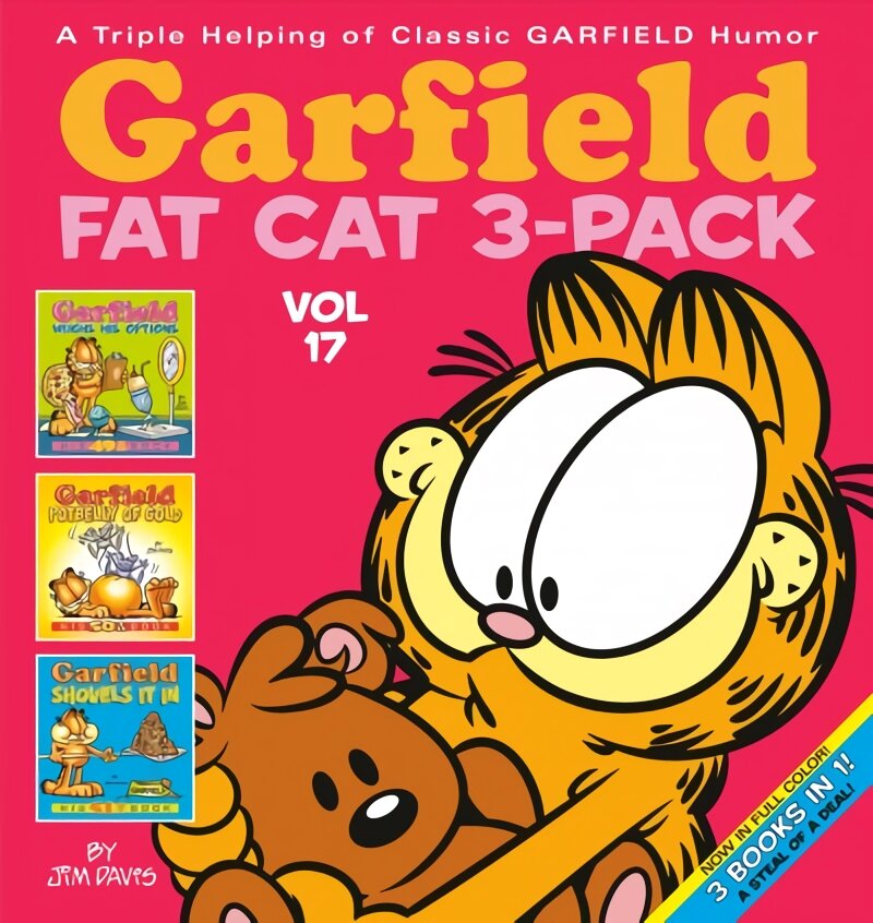 Garfield Fat Cat 3-Pack #17, Vol. 17 kaina ir informacija | Fantastinės, mistinės knygos | pigu.lt