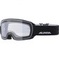 Slidinėjimo akiniai Alpina Sports Nakiska, juodi kaina ir informacija | Slidinėjimo akiniai | pigu.lt
