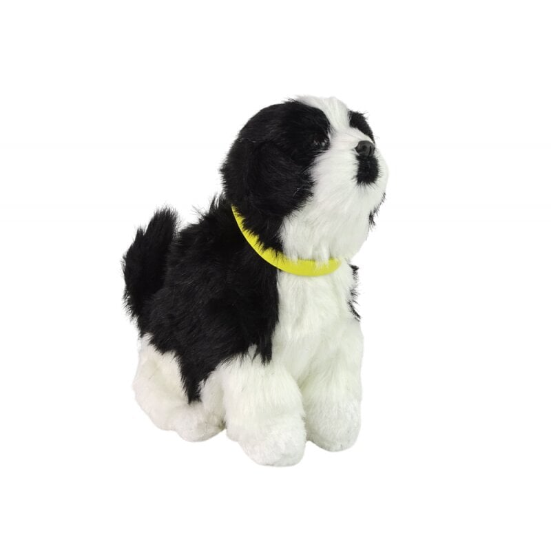 Interaktyvus šuo Border Collie, juodas kaina ir informacija | Žaislai mergaitėms | pigu.lt
