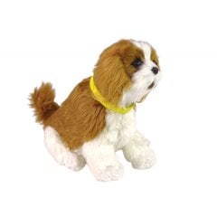Interaktyvus šuo Cavalier Breed, rudas kaina ir informacija | Žaislai mergaitėms | pigu.lt