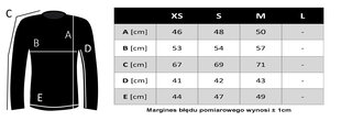 Džemperis moterims Guess, mėlynas kaina ir informacija | Džemperiai moterims | pigu.lt