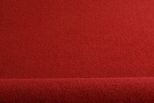 Rugsx ковер Eton, 350x500 см цена и информация | Ковры | pigu.lt