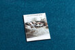 Rugsx kilimas Eton, 500x600 cm kaina ir informacija | Kilimai | pigu.lt