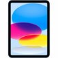 Apple iPad 2022 64GB Blue цена и информация | Planšetiniai kompiuteriai | pigu.lt