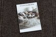 Rugsx durų kilimėlis Malaga, 66x640 cm kaina ir informacija | Durų kilimėliai | pigu.lt