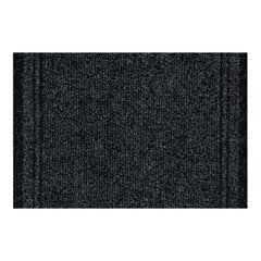 Rugsx durų kilimėlis Malaga, 66x520 cm kaina ir informacija | Durų kilimėliai | pigu.lt
