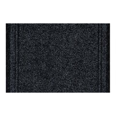 Rugsx durų kilimėlis Malaga, 66x710 cm kaina ir informacija | Durų kilimėliai | pigu.lt