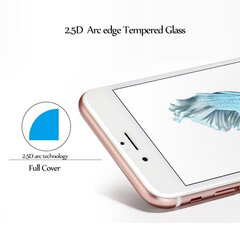 Akero lab 2.5D Full Glue цена и информация | Защитные пленки для телефонов | pigu.lt